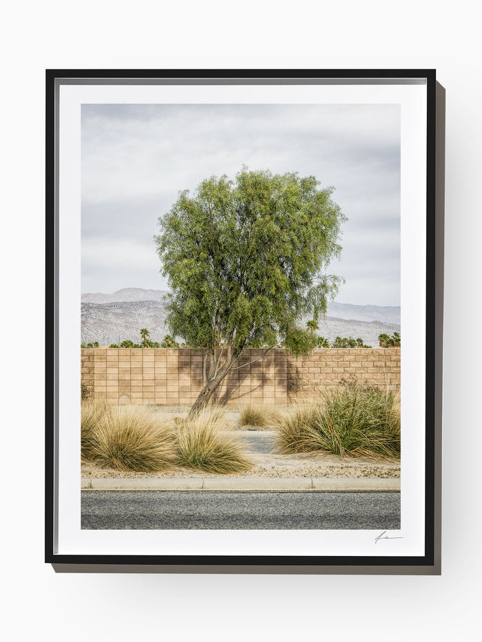Roadside Attraction