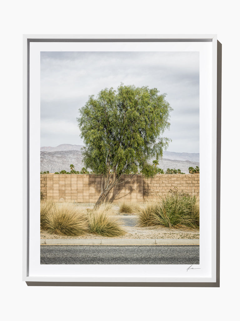 Roadside Attraction