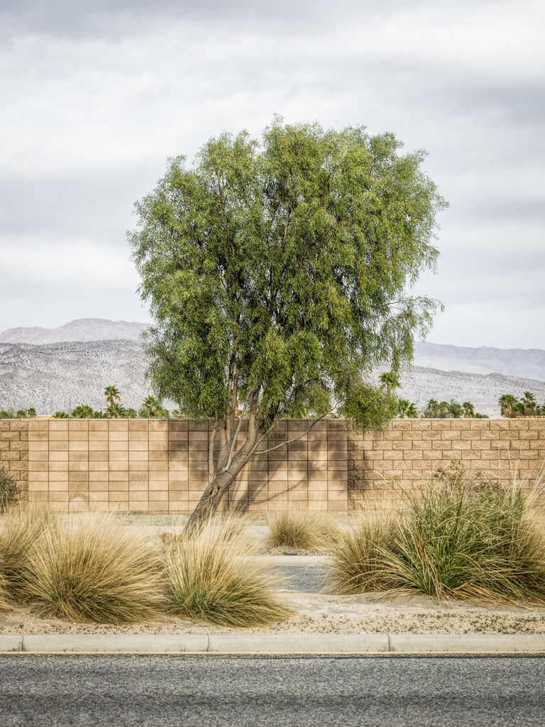 Roadside Attraction